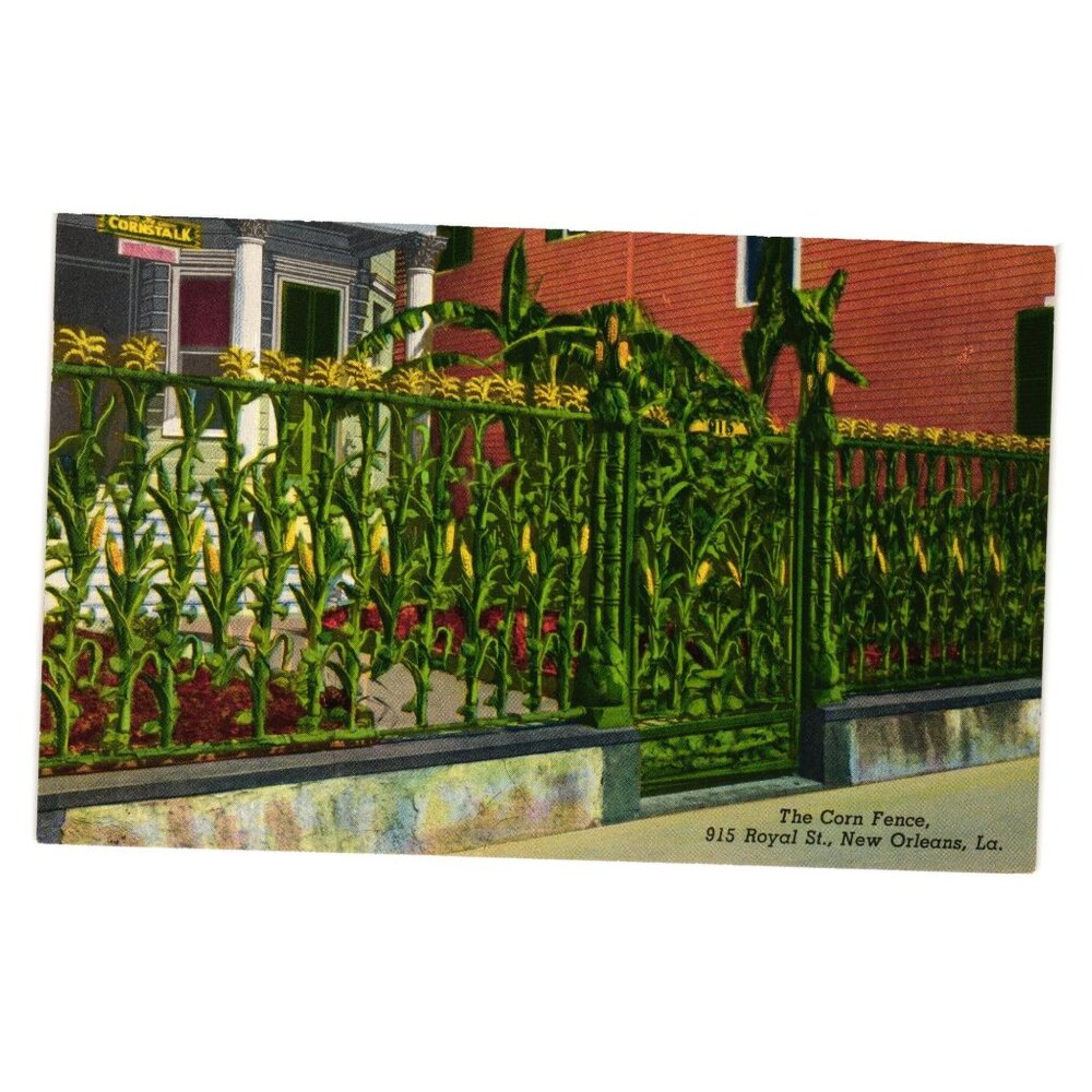 Corn Fence Postcard 915 Royal Street New Orleans French Quarter Historical